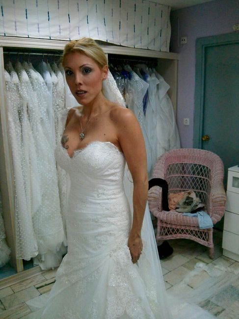 -50 e seconda prova abito - 2