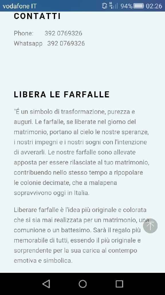 Volo delle farfalle - 1