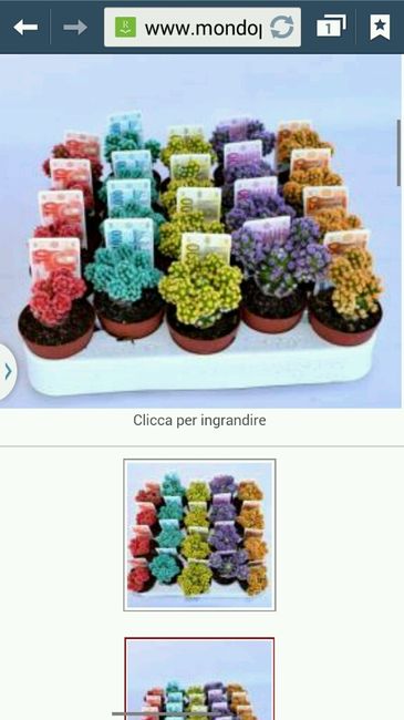 Bomboniere tema natura... mi aiutate? - 1