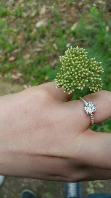 Foto del vostro solitario! - 1