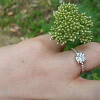 Foto del vostro solitario! - 1