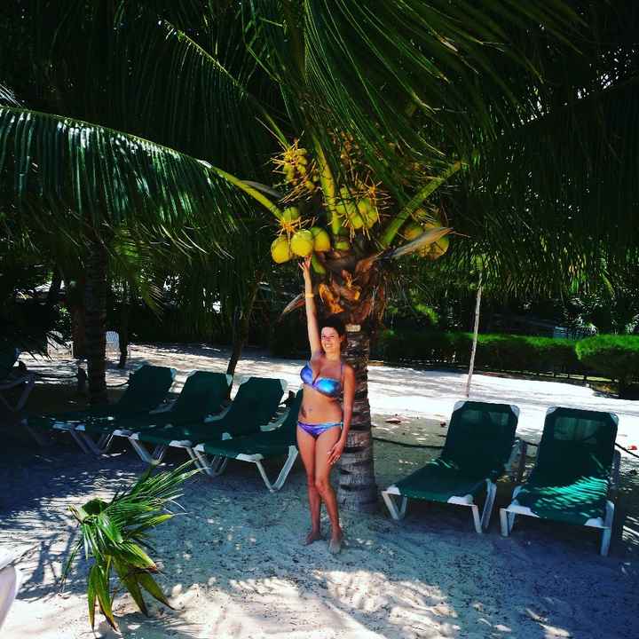 Indimenticabile viaggio, vi lascio qualche foto (new York, Miami, Bahamas, Jamaica and Cozumel, isol