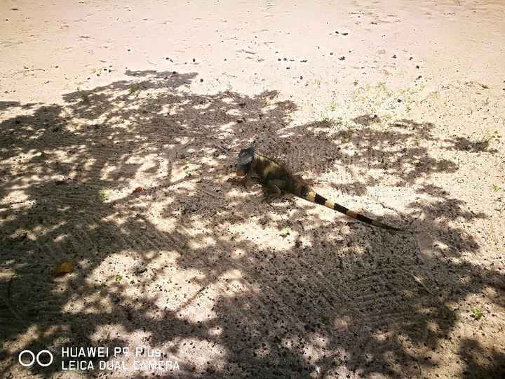 Indimenticabile viaggio, vi lascio qualche foto (new York, Miami, Bahamas, Jamaica and Cozumel, isol