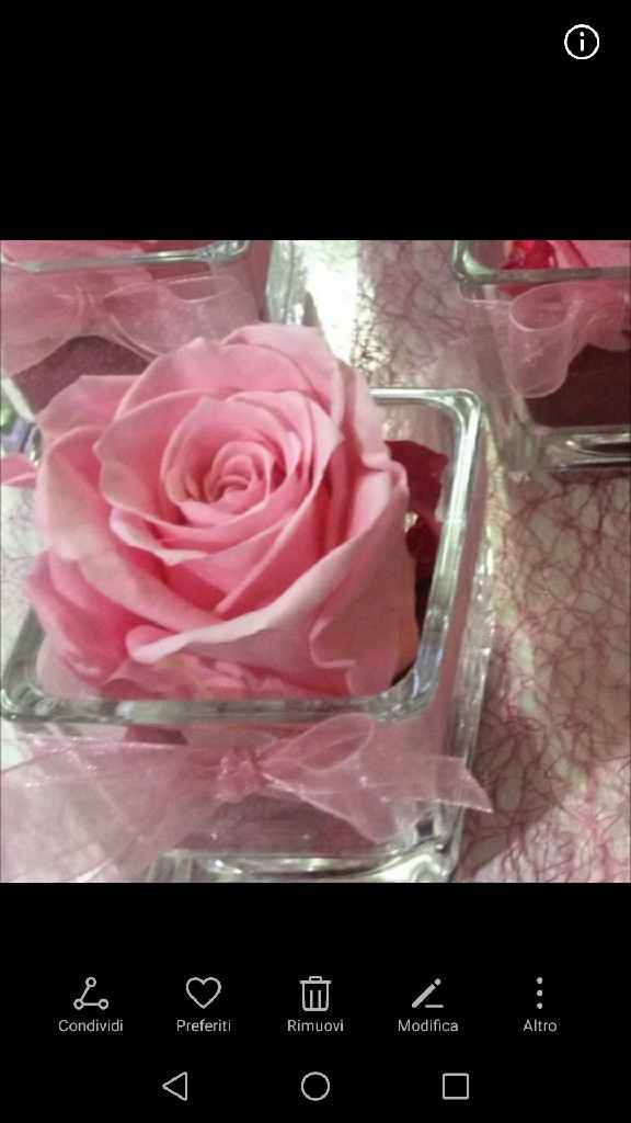 Vi piacerebbe una bomboniera così? - 1