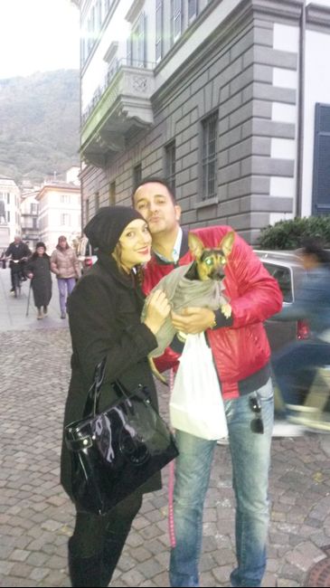 Too cute: i vostri amici animali - 1