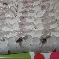 Confetti per non invitati al matrimonio - 2