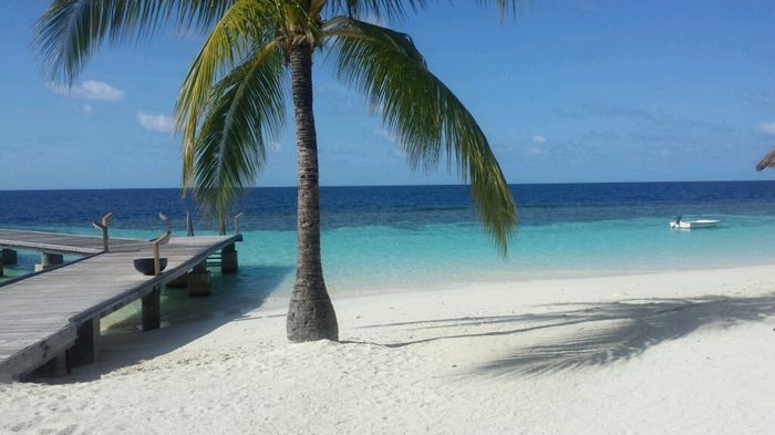 Eccoci qua, in tutto il nostro splendore!!! - 9