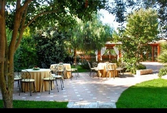 white garden palese - (ba)