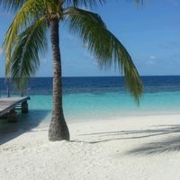 Eccoci qua, in tutto il nostro splendore!!! - 9