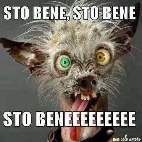 Quando cala l'entusiasmo - 1