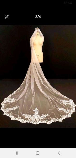 Velo: quale preferite? 2