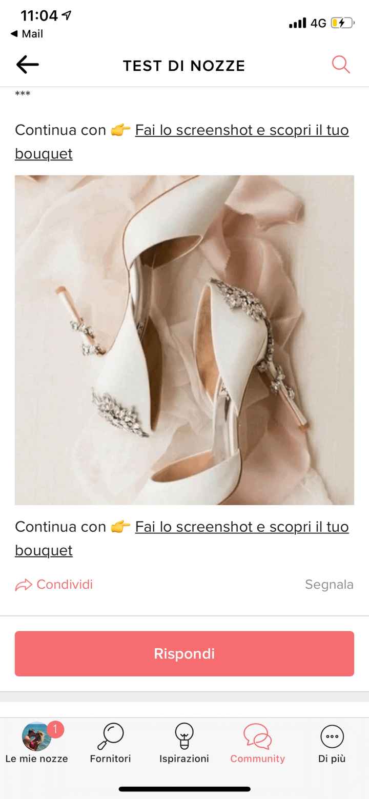 Fai lo screenshot e scopri le tue scarpe - 1