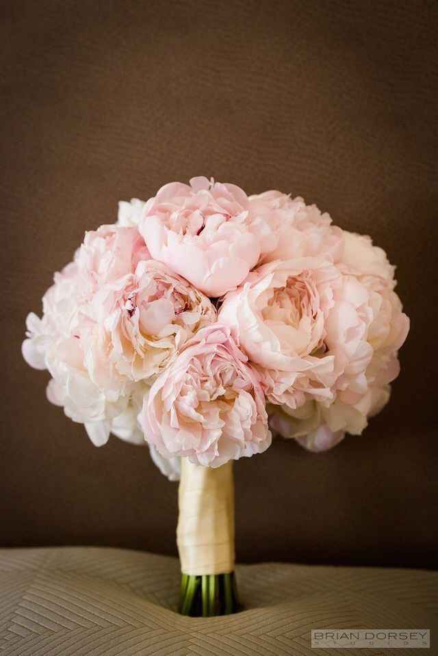 Colore matrimonio - 2