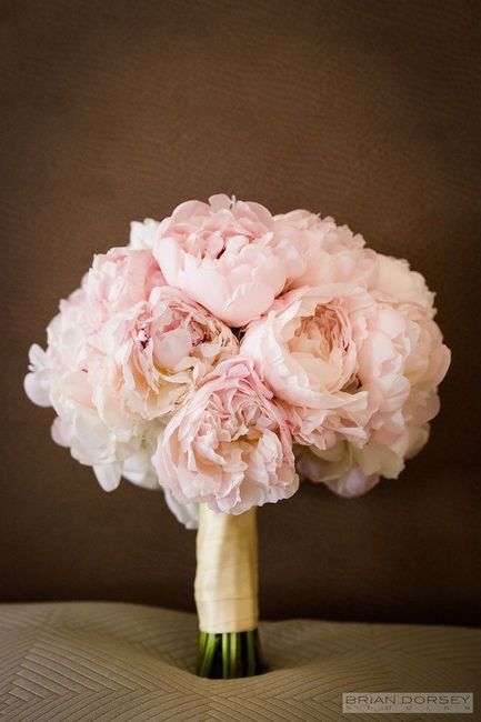 Colore matrimonio - 2