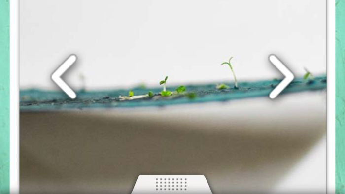 Carta germogliante - 2