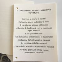 Manuale della perfetta testimone - 1