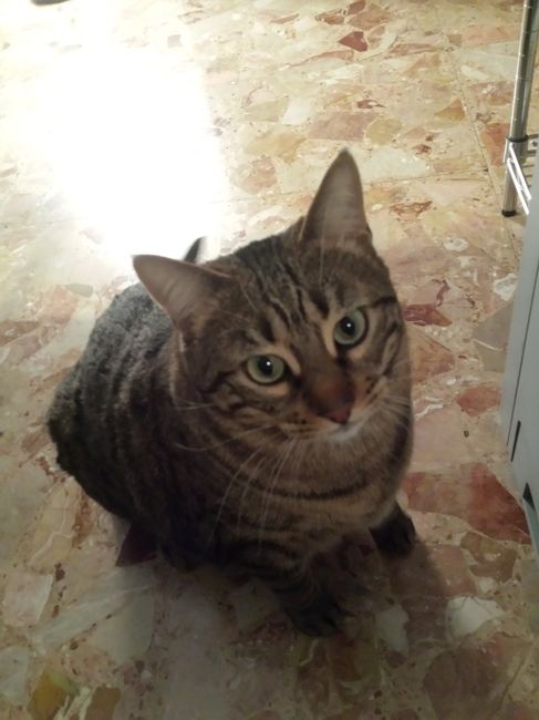 I nostri cuccioli!!! - 1