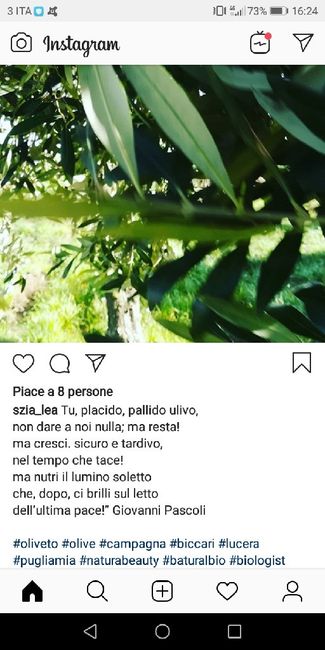 Mi aiutate a scegliere?? - 2