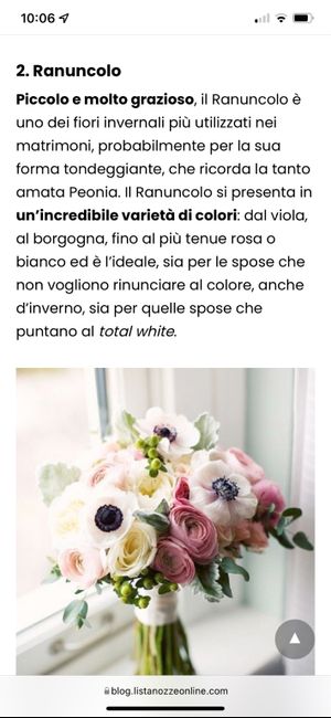 Bouquet monofiore 3