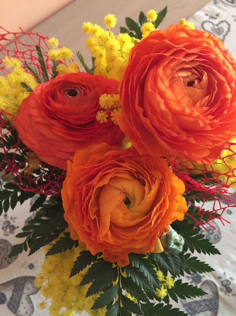 Mostratemi le Mimose! - 1