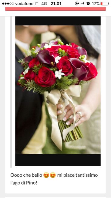  Bouquet invernale - 1
