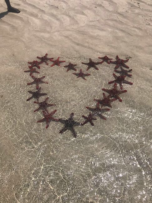  Tornati dalla luna di miele 🏝(topic luuuungo) - 6