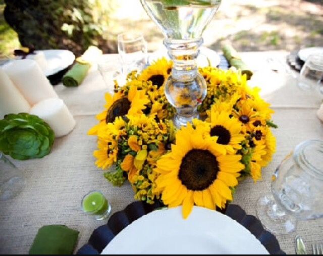 Consigliooo pleasee - 3