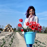Alessia