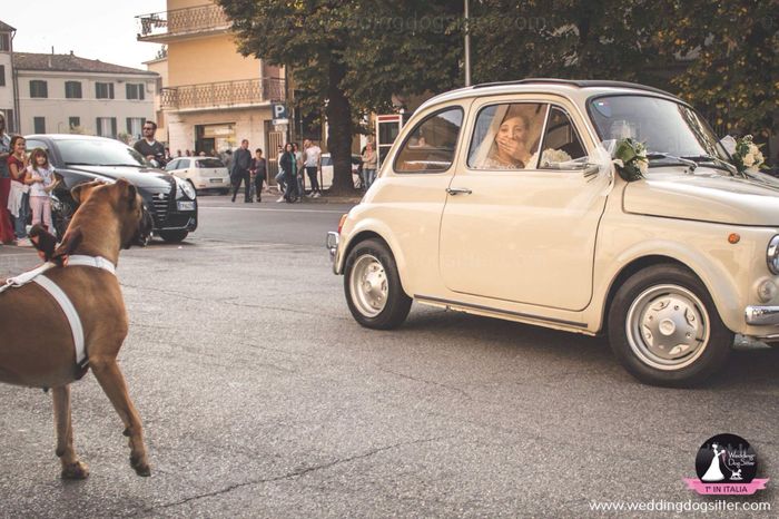  Tate per la nostra bimba pelosa 😍 - 1