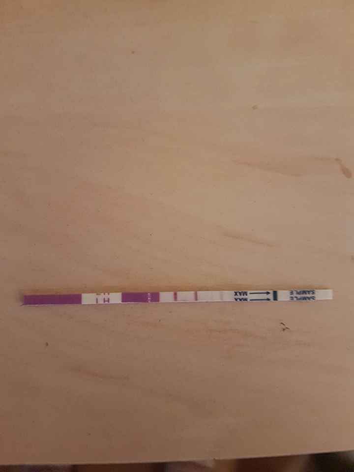 test ovulazione 13po