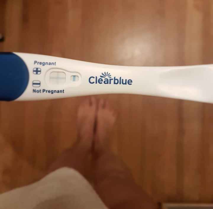 test di gravidanza 13po