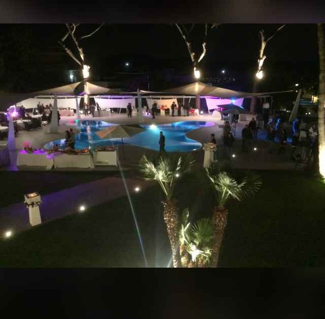 Blue marlin club, wedding night - 3