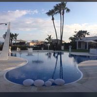 Blue marlin club, wedding night - 2