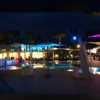 Blue marlin club, wedding night - 4