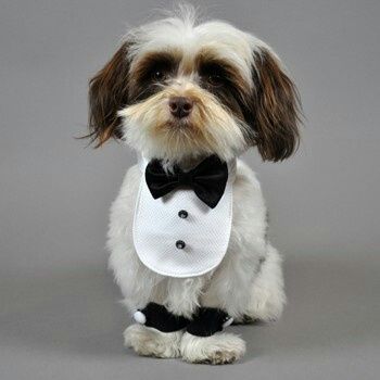 Foto con pelosetti - 1