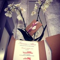 Partecipazioni ❣️ - 1