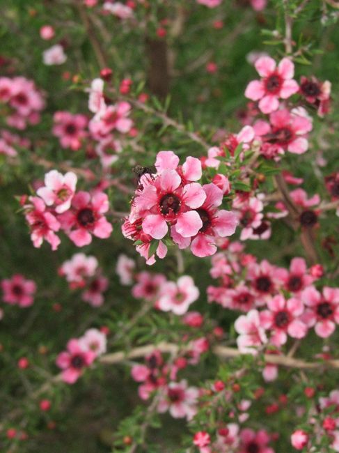 Spring is coming...2 maggio 2020