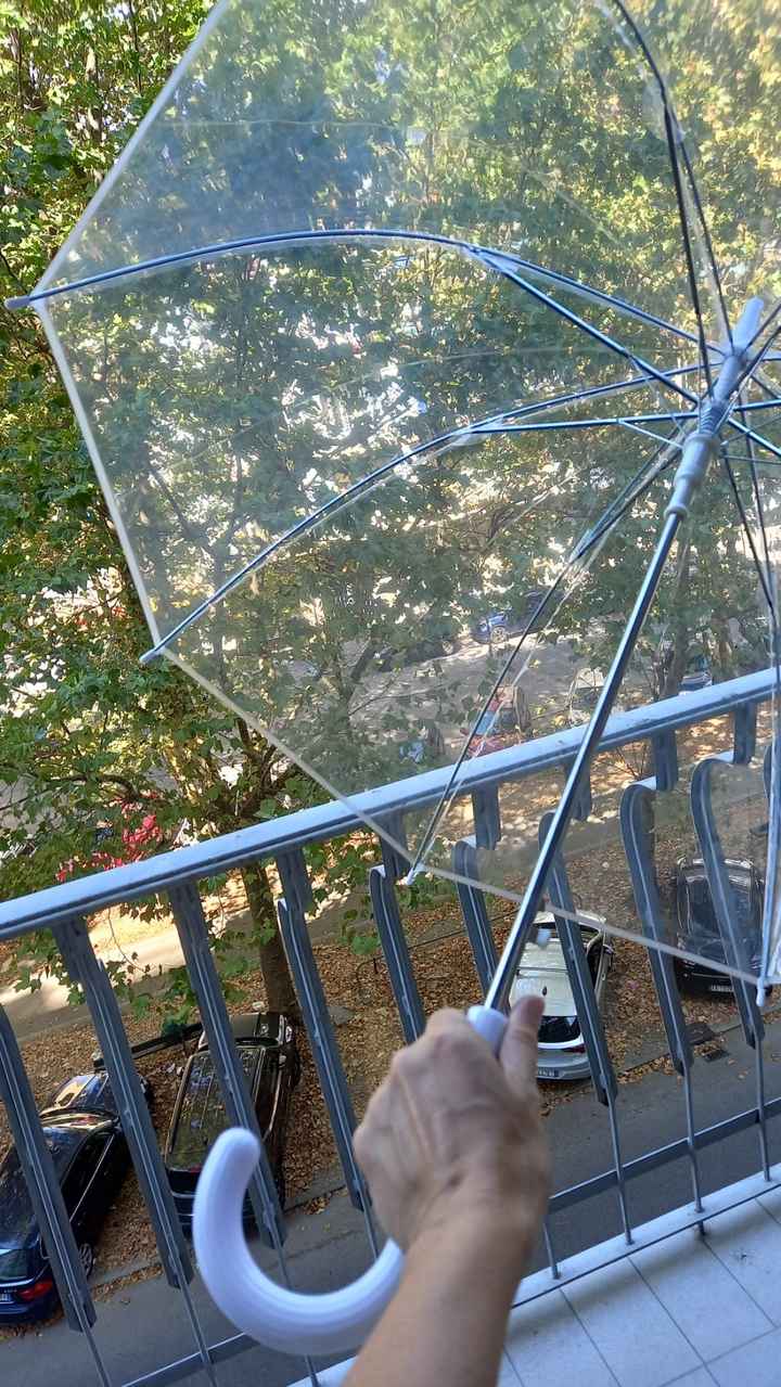 S.o.s. ~ Guida pratica per matrimonio sotto la pioggia 🌧 - 1