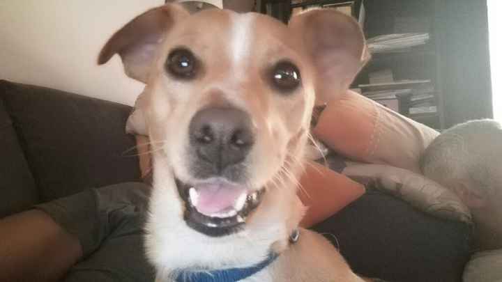 Siamo chico e cuba - 1