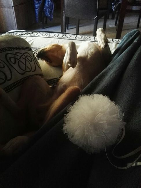 Un po' di fai da te... - 9