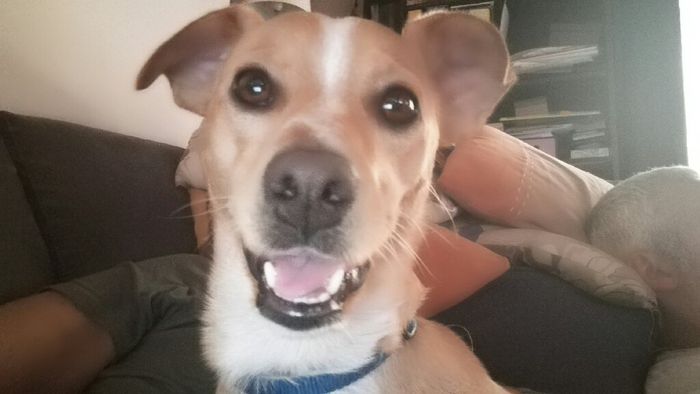 Siamo chico e cuba - 1