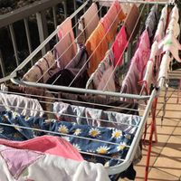 Tutine,  si avvicina il giorno! - 2