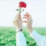 Tanveer