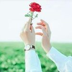 Tanveer