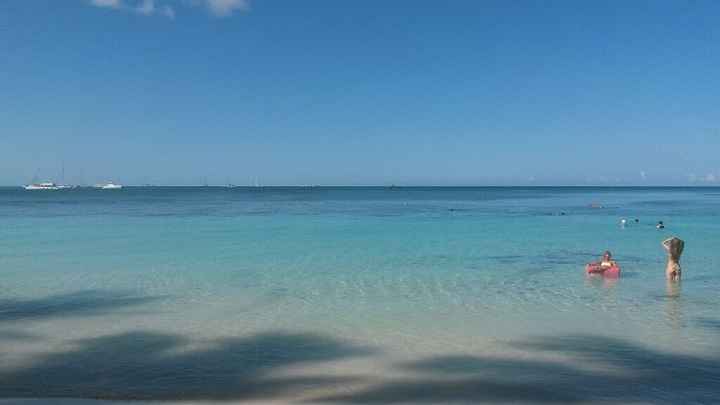 Help! viaggio di nozze a santo domingo - 3