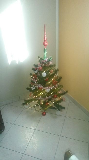 It's christmas time! mi fate vedere i vostri alberelli? - 1