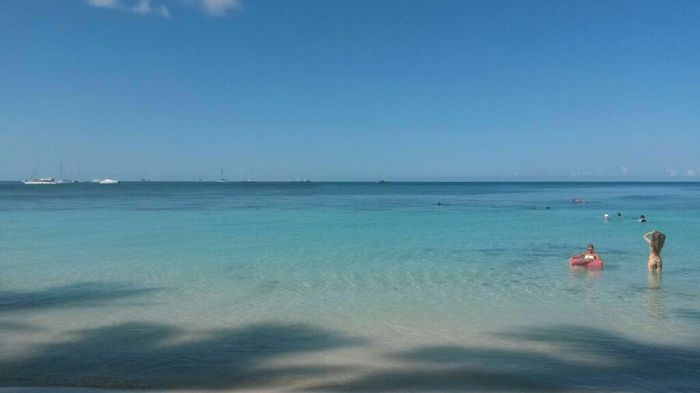 Help! viaggio di nozze a santo domingo - 1