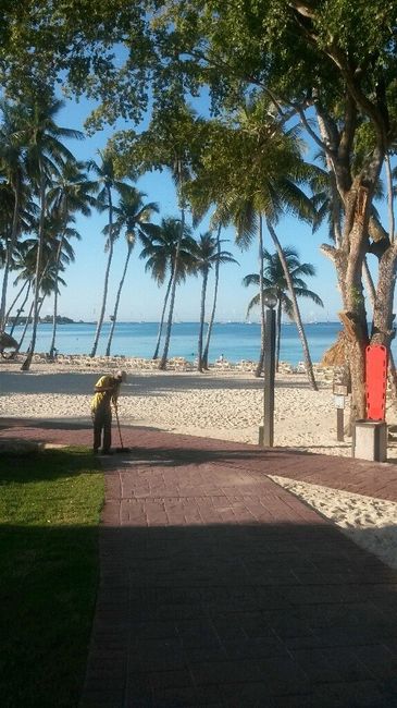 Help! viaggio di nozze a santo domingo - 2