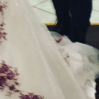 Guarda l'abito da sposa! - 1