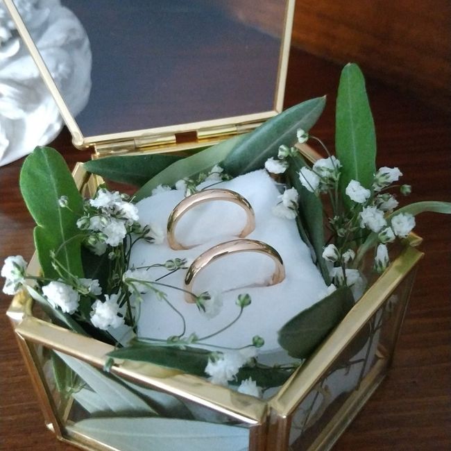 Portafedi: quale prendere? 2